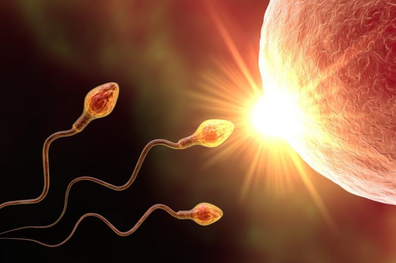 Cómo calcular mis días fértiles