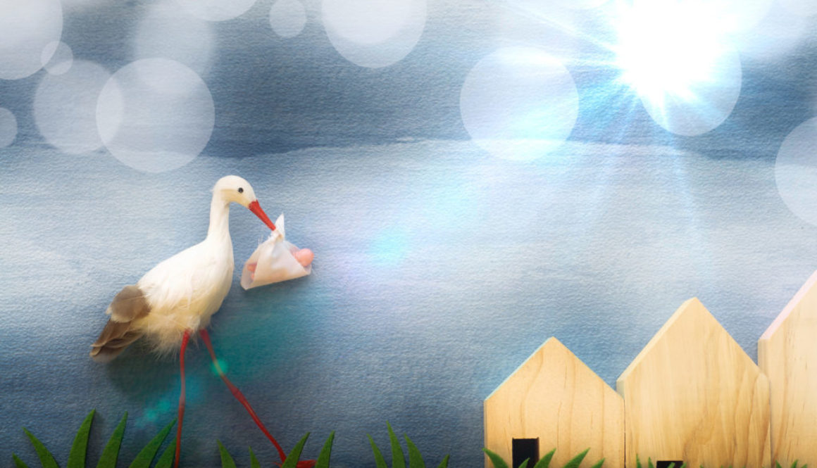 Cómo debemos afrontar la realidad: nunca vendrá la cigüeña