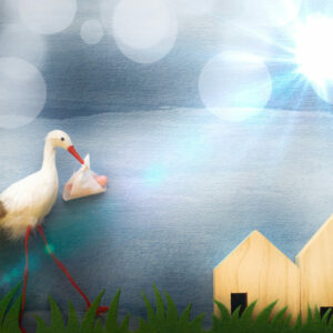 Cómo debemos afrontar la realidad: nunca vendrá la cigüeña