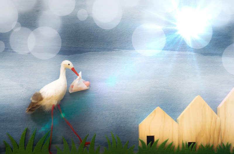 Cómo debemos afrontar la realidad: nunca vendrá la cigüeña