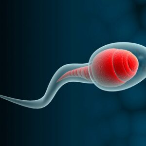 Cómo hacer de tus espermatozoides unos campeones