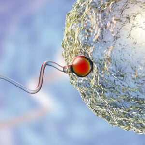 Calidad del Semen ¿De que depende?