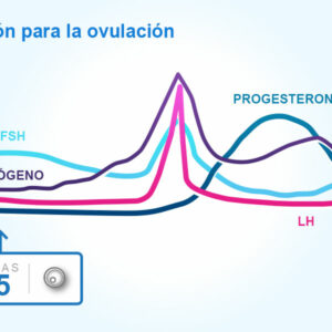Ciclos menstruales y ovulación
