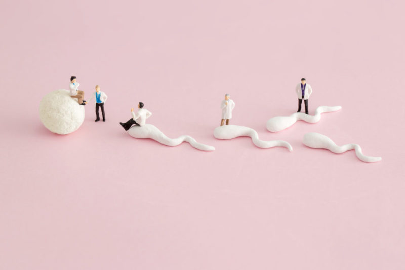 Clínica espera luz verde del Comité de Ética para la técnica pionera en España del 'hijo de tres padres'