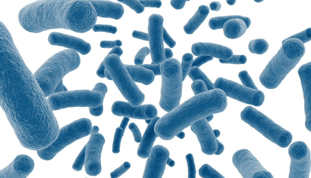 Bacteria virus cells isolated on white background Bacteria virus cells isolated on white background