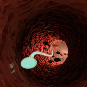 Combine así abstinencia y frecuencia sexual para mejorar la calidad de sus espermatozoides
