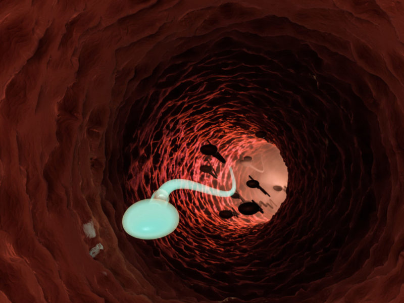 Combine así abstinencia y frecuencia sexual para mejorar la calidad de sus espermatozoides