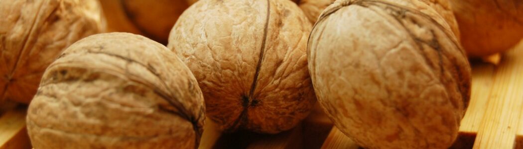 Comer nueces mejora la fertilidad masculina