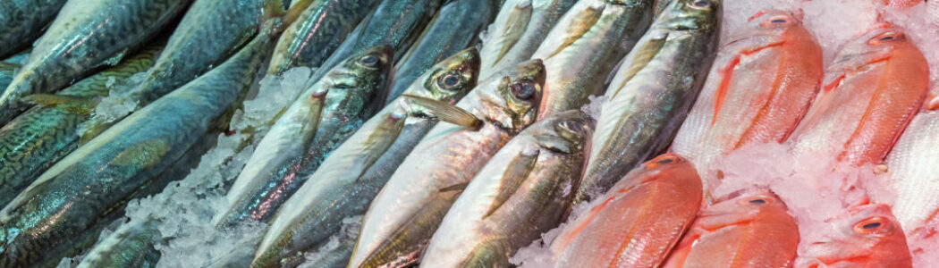 Comer pescado con frecuencia puede aumentar la fertilidad de una pareja, según estudio