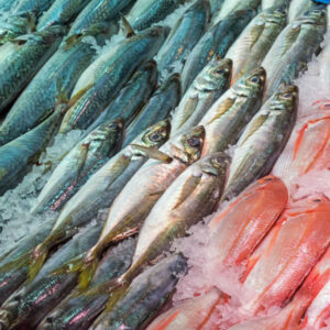 Comer pescado con frecuencia puede aumentar la fertilidad de una pareja, según estudio