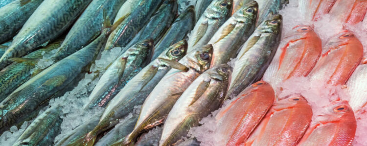 Comer pescado con frecuencia puede aumentar la fertilidad de una pareja, según estudio