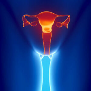 Condenan al SAS a pagar 337.195 euros por negligencia a la hora de extraer un DIU