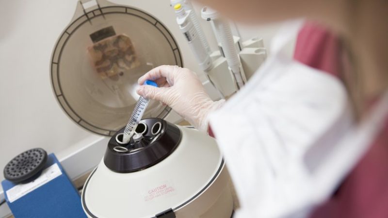 Congelación de óvulos - cryopreservación de la fertilidad