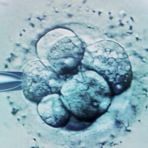 Congelación de óvulos: Nuevas técnicas y progresos