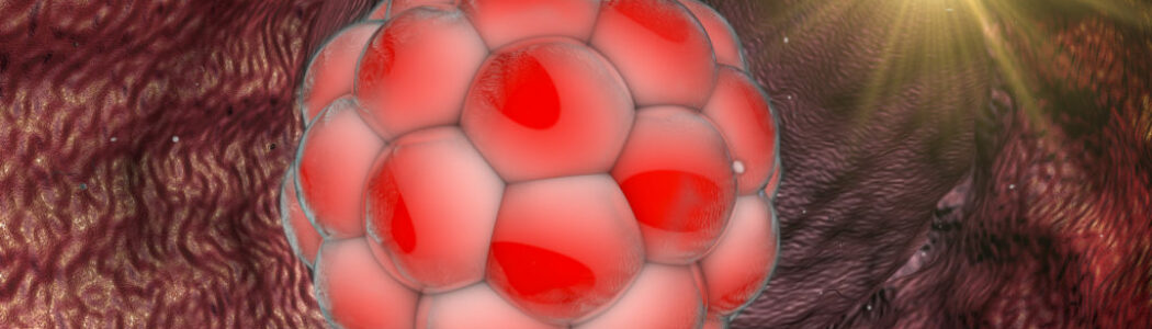 Congelación de ovocitos y embriones: conoce la vitrificación