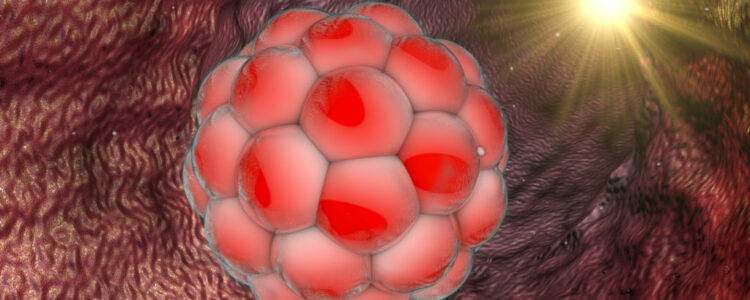 Congelación de ovocitos y embriones: conoce la vitrificación