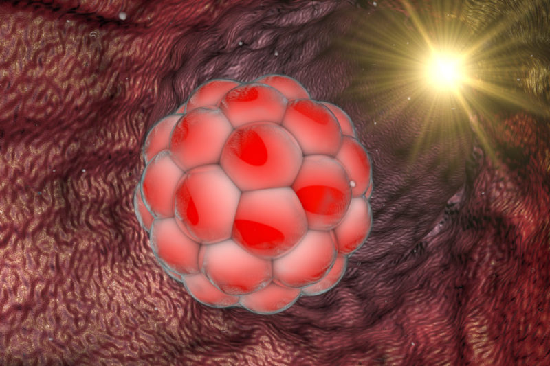 Congelación de ovocitos y embriones: conoce la vitrificación