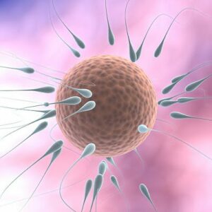 Congelar óvulos propios: una práctica en auge para ser madre en un futuro