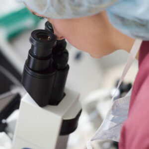 Conoce la función de un Embriólogo