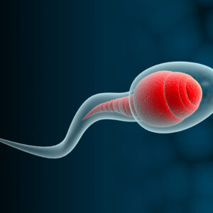 Consejos para aumentar la cantidad de esperma