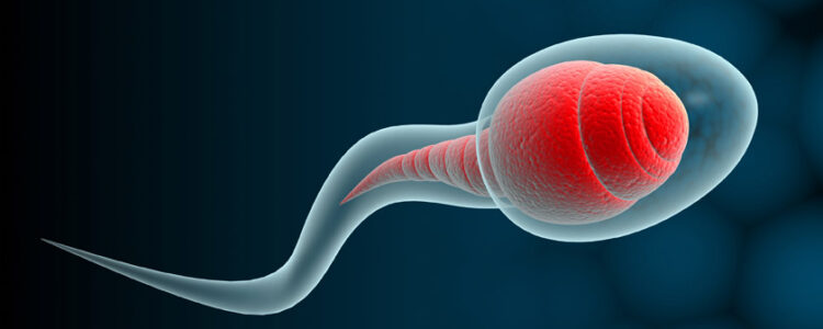 Consejos para aumentar la cantidad de esperma