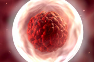 Crece la congelación de óvulos en Aragón por cuestiones sociológicas