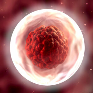 Crece la congelación de óvulos en Aragón por cuestiones sociológicas