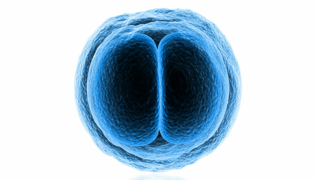 Criopreservación de embriones por motivos sociales, no médicos