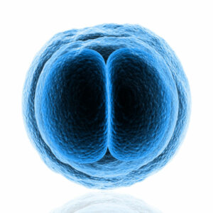 Criopreservación de embriones por motivos sociales, no médicos