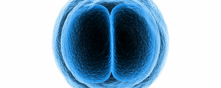 Criopreservación de embriones por motivos sociales, no médicos