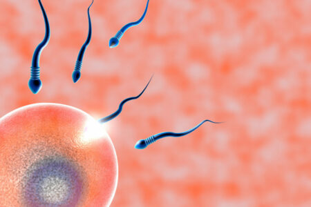 Días fértiles y Días infértiles de la mujer