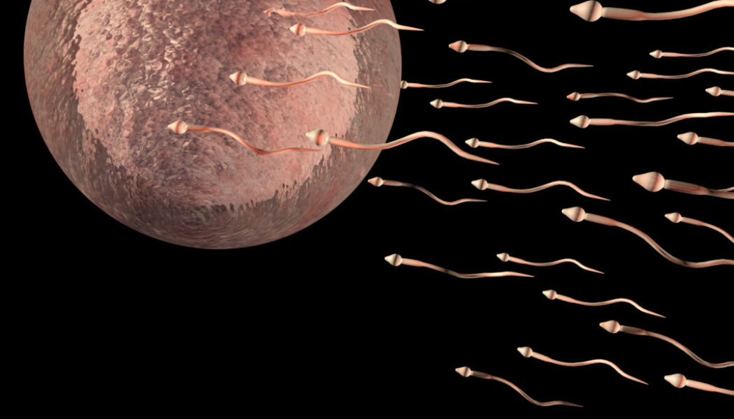 Desarrollan un sistema de detención de infertilidad masculina ” sencillo, económico y fiable”