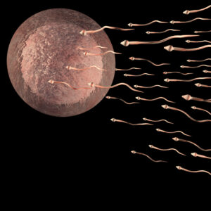 Desarrollan un sistema de detención de infertilidad masculina » sencillo, económico y fiable»