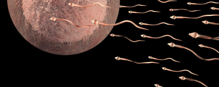 Desarrollan un sistema de detención de infertilidad masculina ” sencillo, económico y fiable”