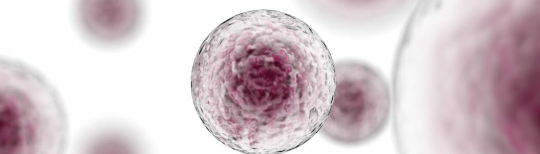 Desarrollan una técnica que permite saber si un embrión está sano sin tener que biopsiarlo