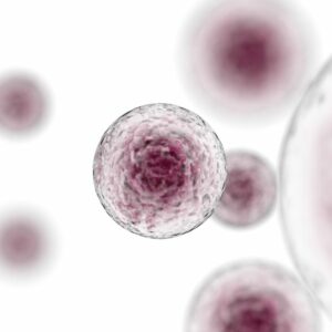 Desarrollan una técnica que permite saber si un embrión está sano sin tener que biopsiarlo