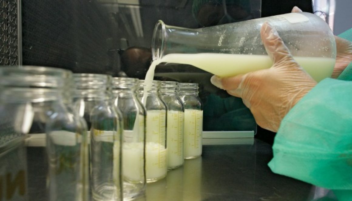 Descubren que la leche materna podría convertirse en una fuente de tratamiento del cáncer en adultos