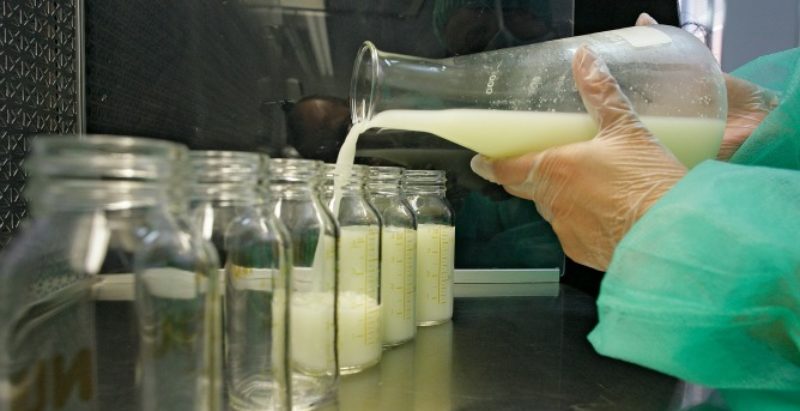 Descubren que la leche materna podría convertirse en una fuente de tratamiento del cáncer en adultos