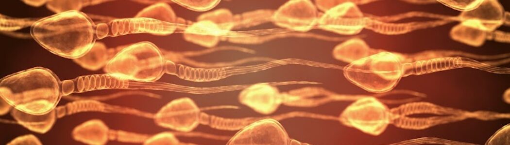 Descubren un gen clave en la producción de esperma que abre la vía a un anticonceptivo masculino