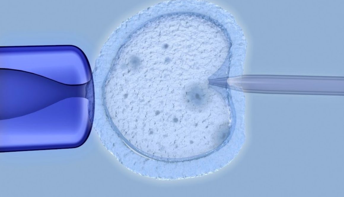 Descubren una proteína responsable de la fecundación del óvulo