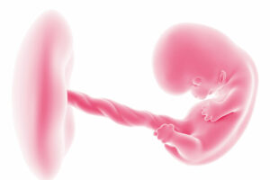 Descubrimiento en genética: Las embarazadas varían la genética de su futuro hijo incluso si el óvulo es donado