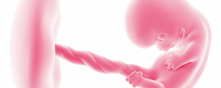 Descubrimiento en genética: Las embarazadas varían la genética de su futuro hijo incluso si el óvulo es donado