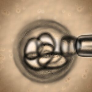 Doctor José Luis Palma Gámiz: «La fertilidad también tiene límites»