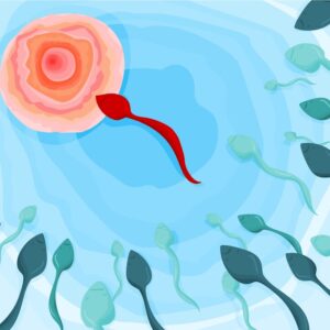 Dos funcionarias del Ayuntamiento de Almería le piden que les pague la fecundación in vitro y el tratamiento de fertilidad