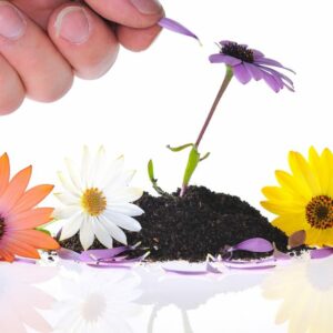 “Vale la pena absolutamente todo lo duro que es el proceso, y las veces que lo intentas y no sale el resultado esperado”