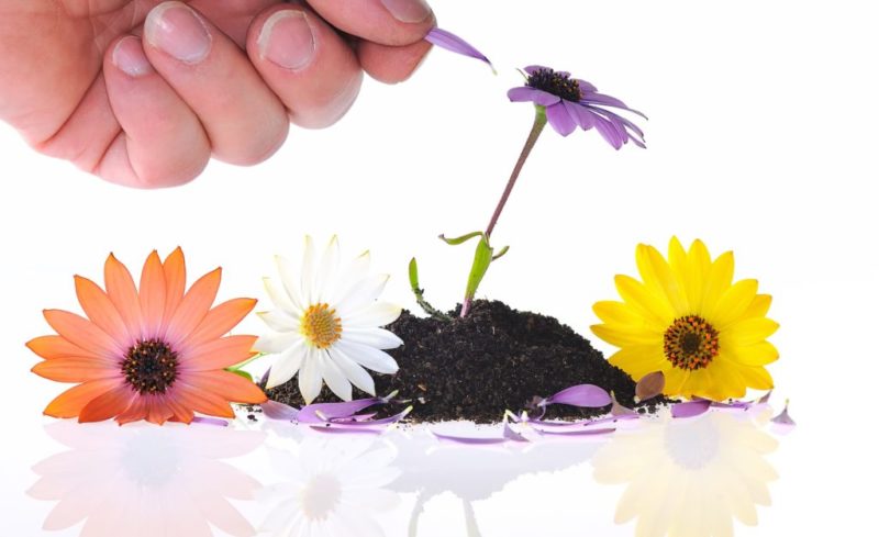 “Vale la pena absolutamente todo lo duro que es el proceso