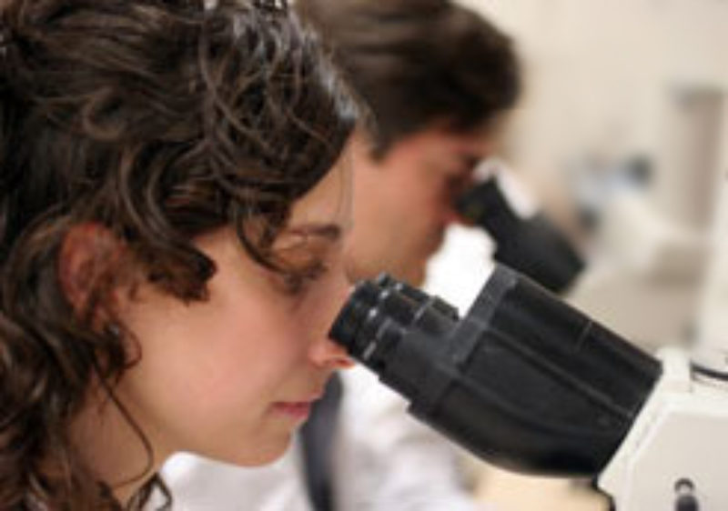 El Centro CREA aconseja la comunicación y sincronización entre el oncólogo y el centro de reproducción asistida