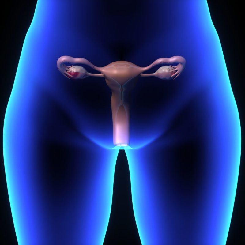 El Hospital Universitario La Paz cuenta con una unidad específica para la endometriosis