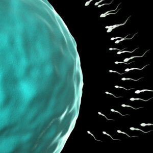 El Hospital de Alzira dobla el número de técnicas reproductivas en dos años