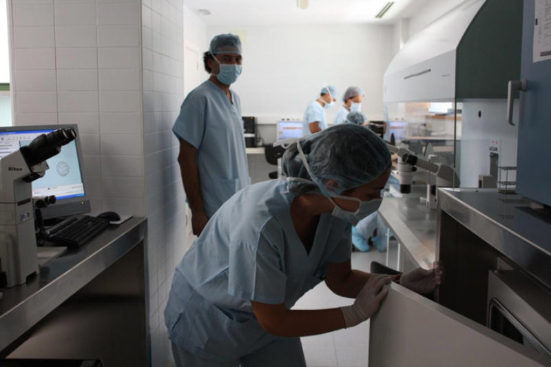 El Instituto Bernabeu celebra un congreso internacional sobre infertilidad